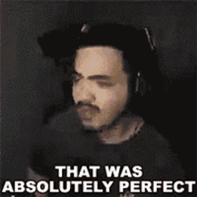 That Was Absolutely Perfect Jacob Arce GIF - That Was Absolutely Perfect Jacob Arce Jacob Mvpr GIFs