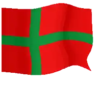 a red flag with a green cross on it is waving in the wind