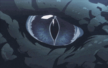 a close up of a dragon 's eye with a white outline on it