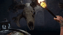 a person holding a torch in front of a large animal skull