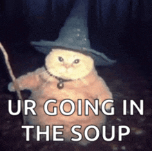 a cat is wearing a witch hat and holding a cane and says ur going in the soup .