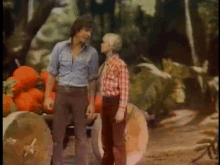 Land Of The Lost Kathy Coleman GIF - Land Of The Lost Kathy Coleman Wesley Eure GIFs