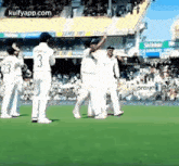 a group of cricket players are celebrating a wicket on a field in front of a crowd .