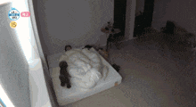 a person laying on a bed with the number 15 on the bottom right