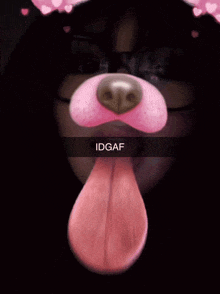 a close up of a person 's face with a dog 's nose and tongue and idgaf written on the bottom