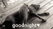 Goodnightmissyou GIF - Goodnightmissyou GIFs