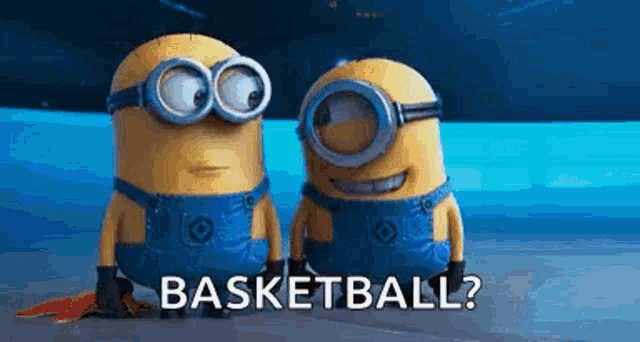 Minions basket sales