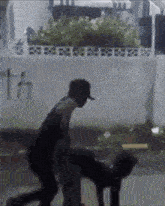 a man is riding a dog on a skateboard .