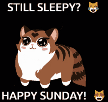 Happy Sunday Still Sleepy GIF - Happy Sunday Still Sleepy Cat Emoji GIFs