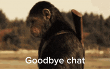 caesar goodbye chat planet of the apes