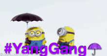 Umbrellas For Yang Yang Gang GIF - Umbrellas For Yang Yang Gang Minions GIFs