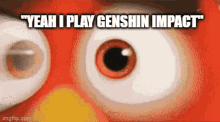 a close up of an angry bird 's eyes with the words " yeah i play genshin impact " above them
