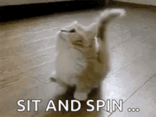 sit and spin meme