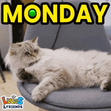 a cat is laying on a chair with the words monday written above it