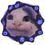 a cat 's face is surrounded by a circle of blue symbols including the letter w