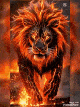 a lion with a fire mane is running through a fire filled field .