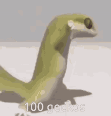 100 Geckos GIF - 100 Geckos 100gecs GIFs