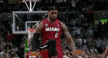 Lebron James Miami Heat GIF - Lebron James Miami Heat Calm Down GIFs