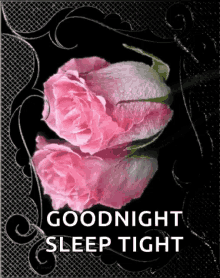 goodnight sparkles sleep tight flower sweet dreams