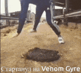 Vg Poe GIF - Vg Poe Venom-gyre GIFs
