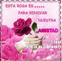 a picture of a woman holding a pink rose with the words esta rosa es para renovar nuestra amistad on it