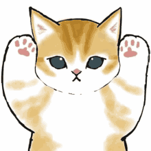 Kitten Peekaboo GIF - Kitten Peekaboo GIFs