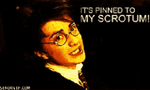 Harrypotter Pinned GIF - Harrypotter Pinned Scrotum GIFs