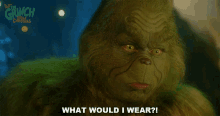 What Would I Wear The Grinch GIF - What Would I Wear The Grinch Jim Carrey GIFs