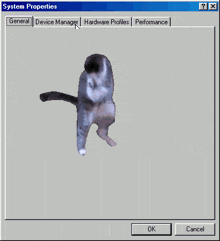 a screenshot of a system properties window shows a statue