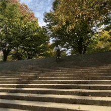Biking Down The Stairs Nigel Sylvester GIF - Biking Down The Stairs Nigel Sylvester Going Down The Stairs GIFs