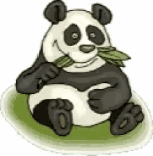 Panda Eating GIF - Panda Eating Hungry GIFs