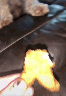 Epic Nugget GIF - Epic Nugget Dogs GIFs