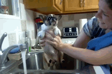 Sink Swimm'N GIF - Dog Swim Bath GIFs
