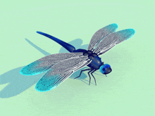 a dragonfly with blue eyes is sitting on a green background