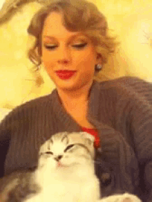 Taylor Swift Cats GIF - Taylor Swift Cats GIFs