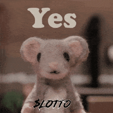 a stuffed animal with the words yes lotto written above it