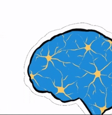 Brain Brain Health GIF - Brain Brain Health Mental GIFs