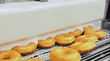 Donuts Doughnuts GIF - Donuts Doughnuts Happy Donut Day GIFs