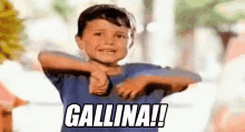 gallina