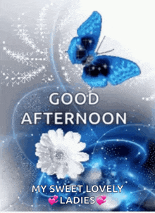a blue butterfly is flying over a white flower with the words good afternoon my sweet lovely ladies