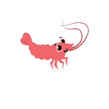 fish shrimp