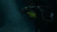 a black and green dragon with a green eye is in the dark