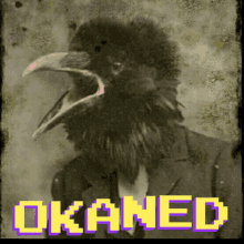 Okaned Crow GIF - Okaned Crow GIFs