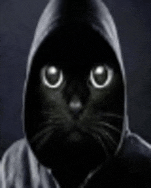 a black cat with glowing eyes is wearing a hooded jacket .