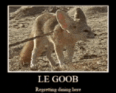 Le Goob GIF - Le Goob GIFs
