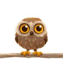 Owl Animated GIF - Owl Animated Cute GIFs