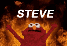 elmo is standing in front of a fire with the word steve written above him