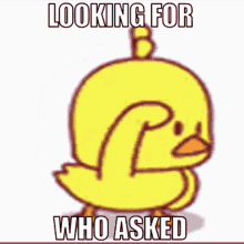 Duck Looking For Who Asked Duck Who Asked GIF - Duck Looking For Who Asked Looking For Who Asked Duck Who Asked GIFs