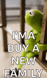 kermit the frog is sitting on a railing and says `` i 'm a buy a new family ''