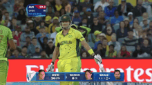 Cricket Stare GIF - Cricket Stare Shane Watson GIFs